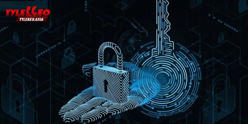 Chính Sách Quyền Riêng Tư Của Các Nền Tảng Tỷ Lệ Kèo