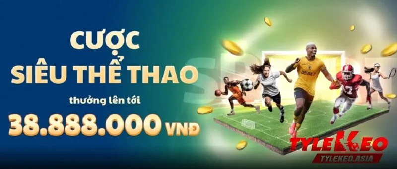 Hướng dẫn soi kèo cho người chơi