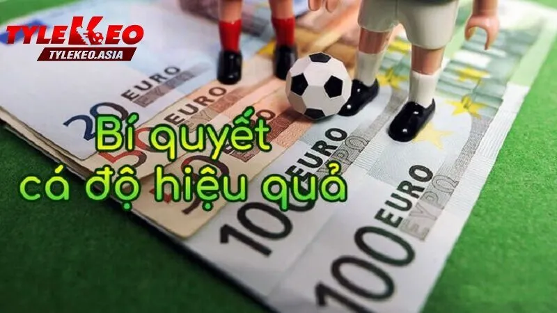 Mẹo cá cược bóng đá thông minh cho người chơi