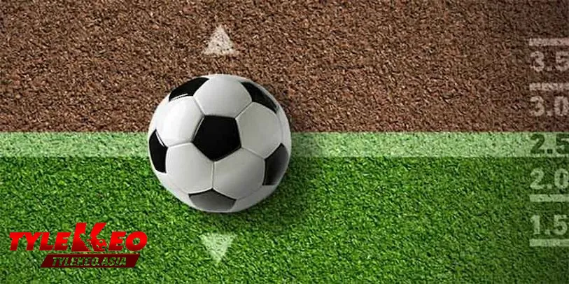 Mẹo soi kèo cho người chơi