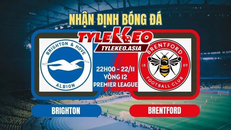 Soi Kèo Brighton Vs Brentford 22h00 ngày 22/11